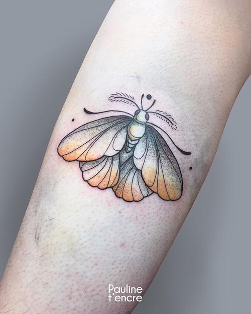 Tatouage papillon couleur tattoo